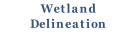 Wetland
Delineation
